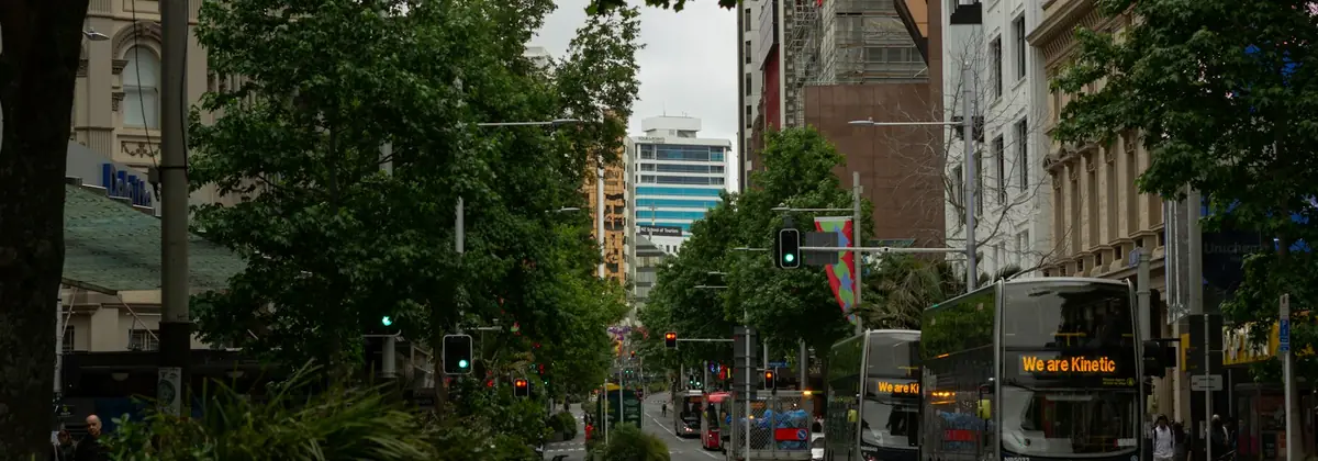 Puiden reunustama katu Aucklandissa